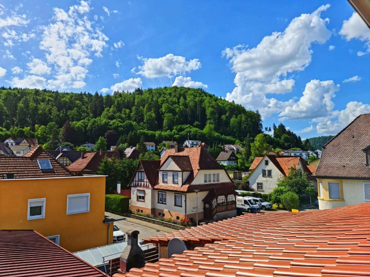 Immendingen Pension Transilvania מראה חיצוני תמונה